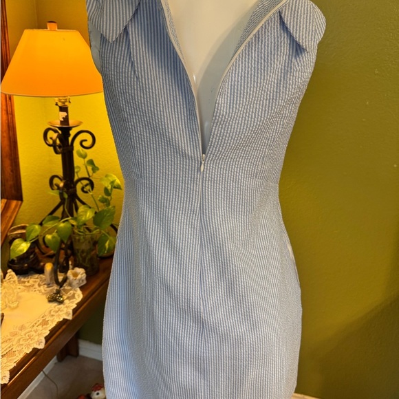 1901 Light Blue and White dress - Picture 9 of 13